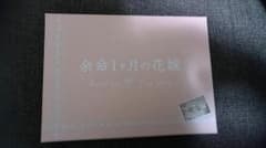 余命1ヶ月の花嫁DVDのサムネイル