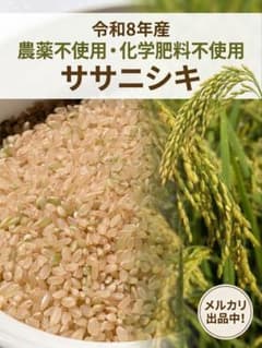 ササニシキ 玄米10kg 令和8年産 農薬不使用化学肥料不使用 - メルカリ