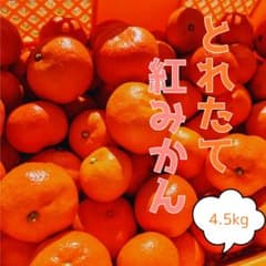 【香川県産】みかん　小原紅早生　紅みかん　4.5kg 送料無料のサムネイル