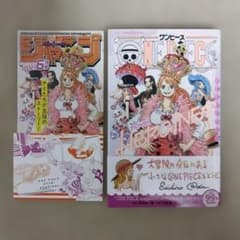 ワンピース ノベル ヒロインズ (初版・帯・ジャパラ・冊子付き) - メルカリ