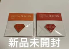SEVENTEEN BE THE SUN 東京 愛知 ピンバッジ まとめ売り - メルカリ