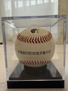 シリアルナンバー付き！全国高校野球選手権大会記念 甲子園ボール