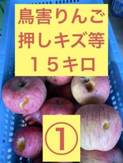 鳥害りんご　ふじ15キロ ①のサムネイル