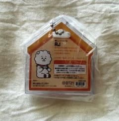 BT21 패키지 매력 RJ JIN