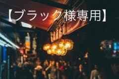 【ブラック様専用】ドラゴンクエストVIII 空と海と大地と呪われし姫君のサムネイル