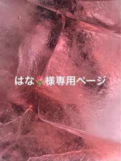 はな様専用ページのサムネイル