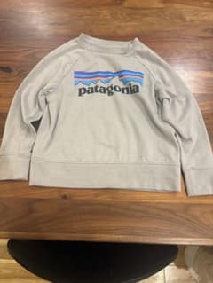 値下げ！patagonia 長袖カットソー グレーのサムネイル