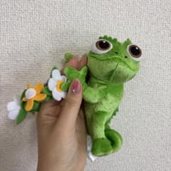 パスカル 花付きのサムネイル