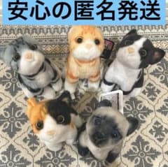 リアルアニマル 猫おりこうマスコットBCセット 全5種 - メルカリ
