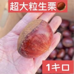 特大粒 4L生栗 無農薬 約1キロ - メルカリ
