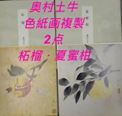 奥村土牛の色紙絵複製2点「夏蜜柑」「柘榴」 - メルカリ