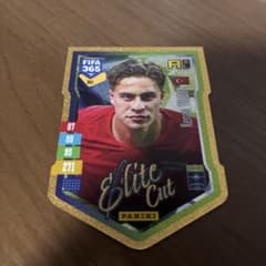 PANINI FIFA 365 ケナン・ユルディズ ELITE