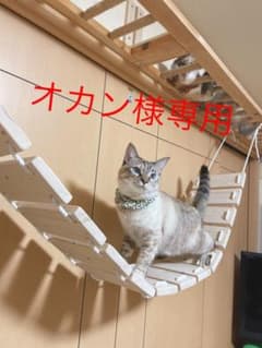 オカン様専用 200cm～ 20枚セット 猫用吊り橋 手すり無しのサムネイル
