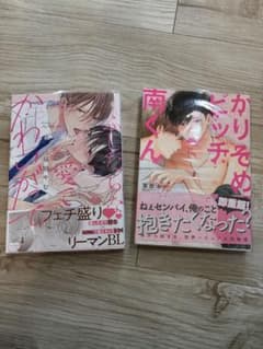 BL漫画　ビッチ系　かりそめビッチ南くん　ふしだらな愛でかわいがって。のサムネイル