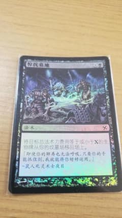 Mtg 戦争門 中国語 foil Mtg 戦争門 中国語 foil MTG 闘技場 中国語 foil 中国語 MTG foil