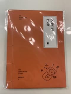 BTS サマパケ テヒョン ダイアリーのサムネイル