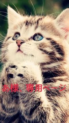 こちら専用ページになります。のサムネイル