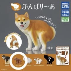 ふんばり〜ぬ ガチャ フィギュア トイプードルのサムネイル