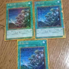 同胞の絆３枚セットのサムネイル
