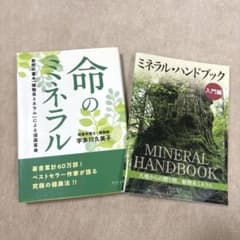 命のミネラル　宇多川久美子【おまけ付き】のサムネイル