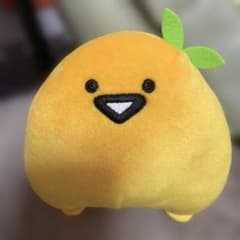 문구와 함께 여러가지 앞머리 봉제인형 젤리씨 귤