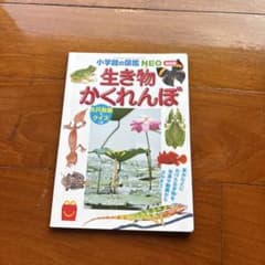 生き物かくれんぼ AR動物クイズ 特別版のサムネイル