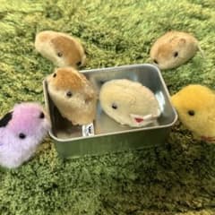 クリスマスに！遊んで♪カピバラさん12匹セットのサムネイル