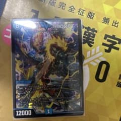 飛翔龍　5000VTのサムネイル