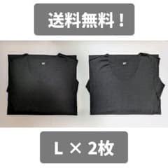 GUNZE in.T メンズ インナーシャツ ブラック L 2枚