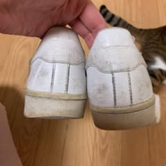アディダススーパースターのサムネイル