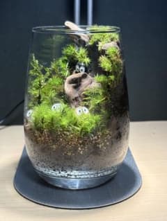 苔テラリウム　小型　オープンタイプ まっくろくろすけ兄弟の住む森のサムネイル
