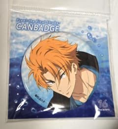 Free 金城楓 缶バッジ 36点 Free! 缶バッジ 金城 楓 - メルカリ
