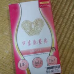 芦屋美整体 骨盤ベルト L-LLのサムネイル