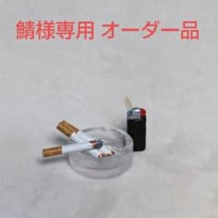 m79960099487_1.jpg?1714746448