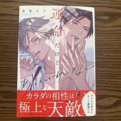 運命だけどあいいれない　　　永条エイ　　　BLのサムネイル