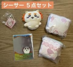 치이카와 시서 5점 세트