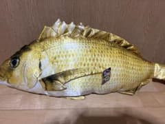 海鮮市場 鯛 ぬいぐるみ リアル 魚 クッションのサムネイル