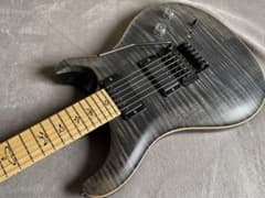PRS DW CE 24 Dustie Waring フロイドローズ　2018年 PRS DW CE 24 Dustie Waring フロイドローズ 2018年 - メルカリ