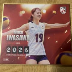 バレーボール女子日本代表 岩澤実育 トレーディングmini色紙のサムネイル