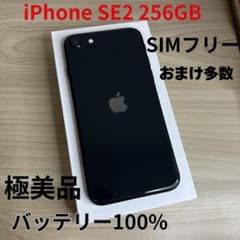 iPhone SE2 256GB ブラック 本体 ｜SIMフリー　【極美品】 極美品】 iPhone SE2 256GB SIMフリー 本体 - メルカリ
