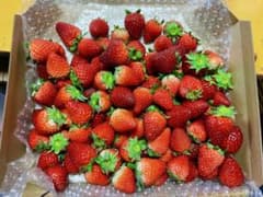 佐賀のいちごさん、秀品小粒〜中粒1kg全込みのサムネイル