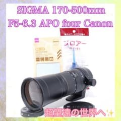 ⭕️SIGMA APO 170-500mm four Canon⭕️超望遠の世界へ⭕️ - メルカリ