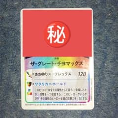 レアカード 泉佐野市公式トレーディングカード SANOヒーローズトレカ
