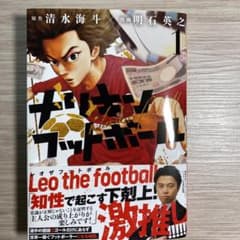 ナリキンフットボールのサムネイル