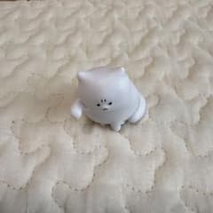怒った猫ちゃあぁぁん　白い猫のサムネイル