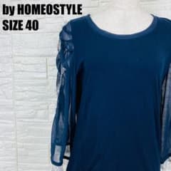 by HOMEOSTYLE 소매 쉬폰 레이스 컷소우 감색 40 2434