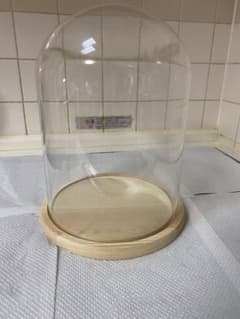 ガラスドーム 木製台座付き ディスプレイケース　高さ約27cm直径約20cm新品のサムネイル