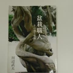 盆栽職人 〈その魂と軌跡〉のサムネイル