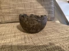 美品 たけろうポット ちぎり M 芽の巣山 植木鉢 陶器 鉢 ボタナイズ 4