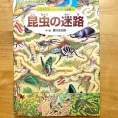 昆虫の迷路 秘密の穴をとおって虫の世界へのサムネイル